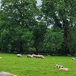 Oaklane Glamping *