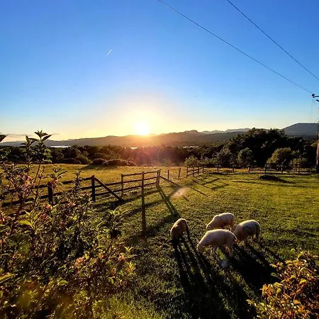 Oaklane Glamping בקתה קנמארה