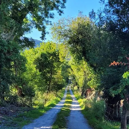 Alpesi faház Oaklane Glamping