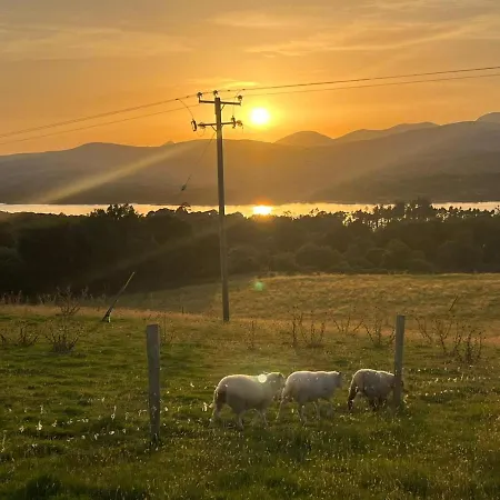 Oaklane Glamping Kenmare
