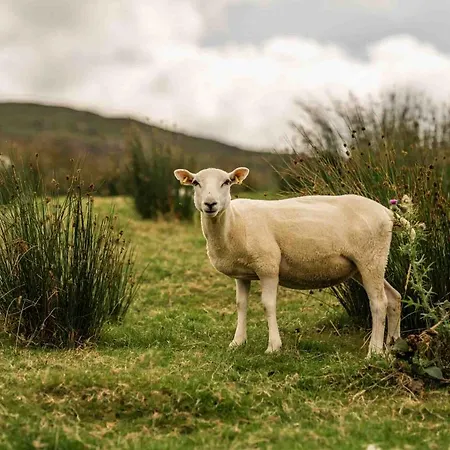Alpesi faház Oaklane Glamping Kenmare