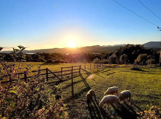 Oaklane Glamping 木屋 肯梅尔