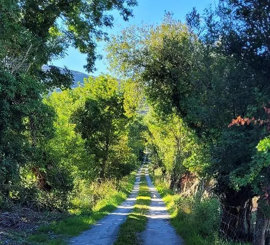 木屋 Oaklane Glamping