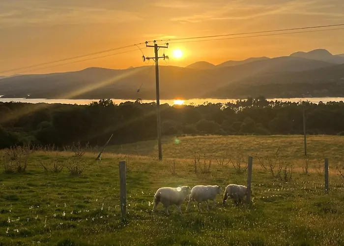 Oaklane Glamping Kenmare