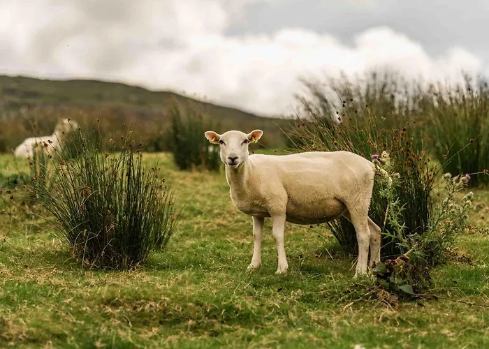 木屋 Oaklane Glamping 肯梅尔